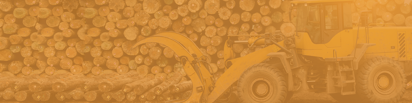 <h2>Forestry Equipment</h2>